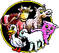 Image jr_game.gif Image jr_game.gif